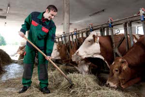 http://www.maschinenring-zh.ch/maschinenring-zuerich/mr-personal/personalleasing/bewerber/landwirtschaft.php